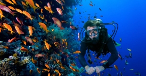 New Hobbies: Reasons You Should Go Scuba Diving New Hobbies: Reasons You Should Go Scuba Diving